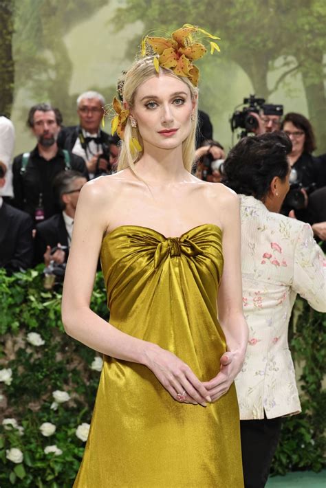 met gala celebrities dior|elizabeth debicki dior.